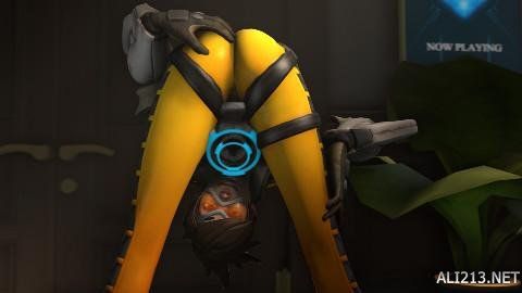 的掌控力 的掌控力