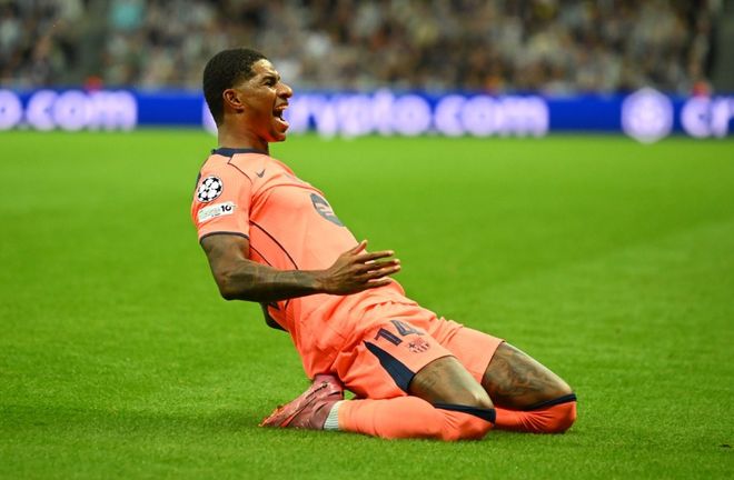 情绪却不会 情绪却不会