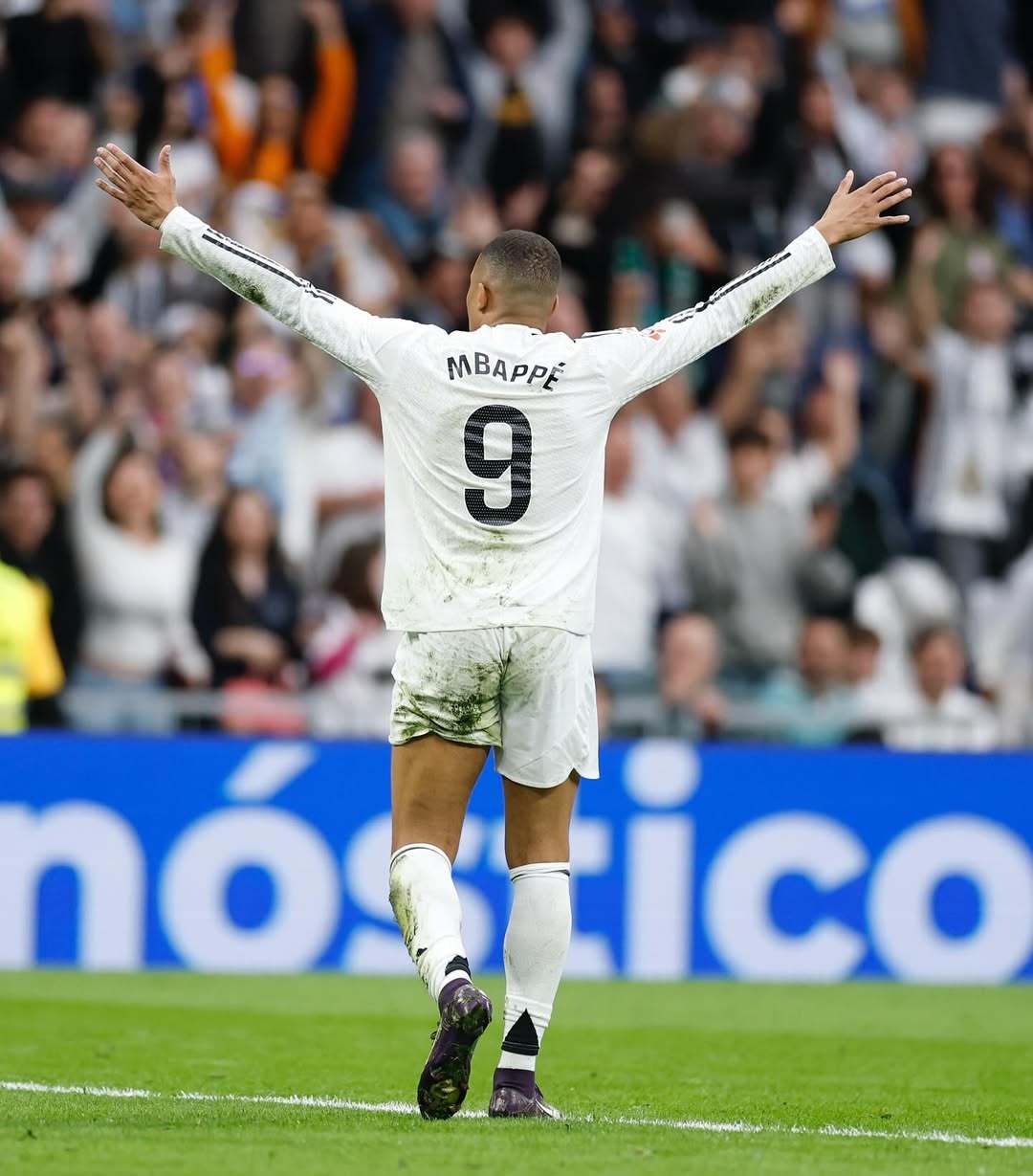 独行侠球迷 独行侠球迷